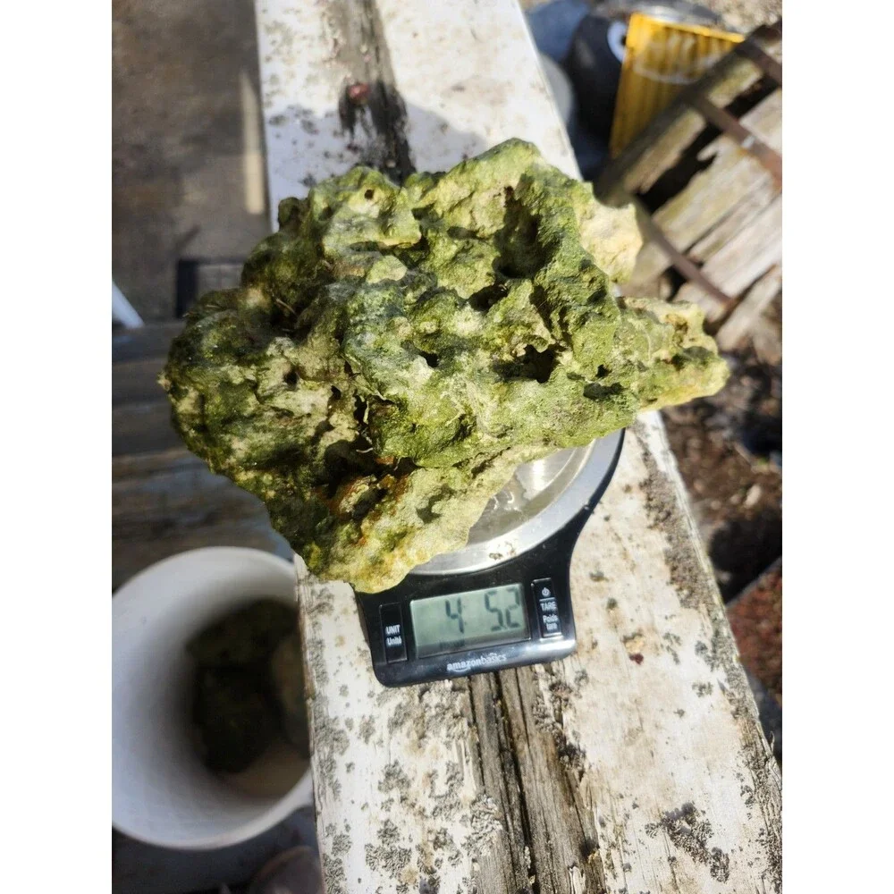 Fiji Dry Base Rock for Saltwater Aquarium Setup Natural Reef Rock Aquascaping